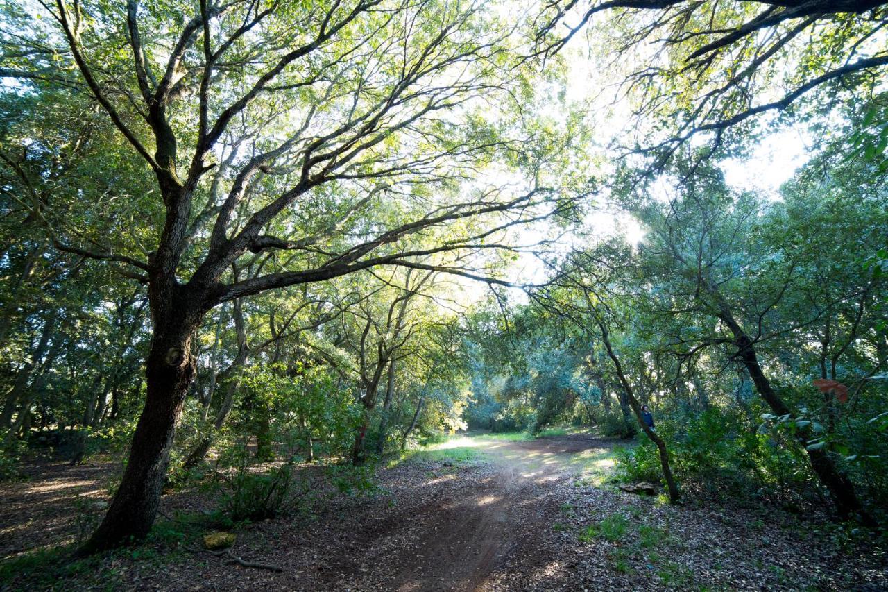 Tenuta Monacelli Lecce Buitenkant foto